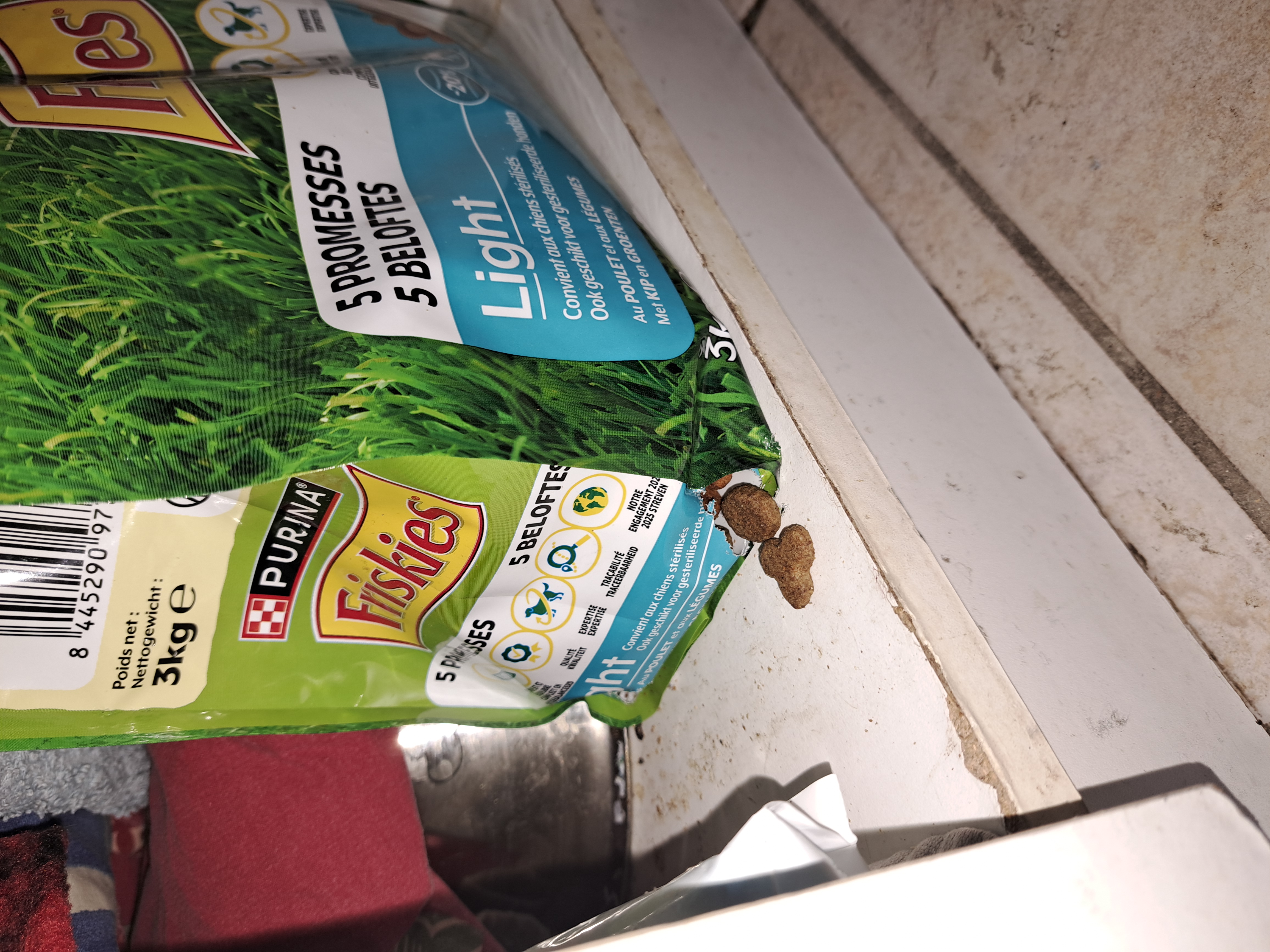 Dégats Souris